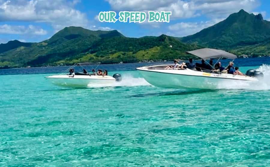 Mauritius: Benitier Island - Swim Dolphins - Speedboat & BBQ - Swimming with dolphins, and the ethical question