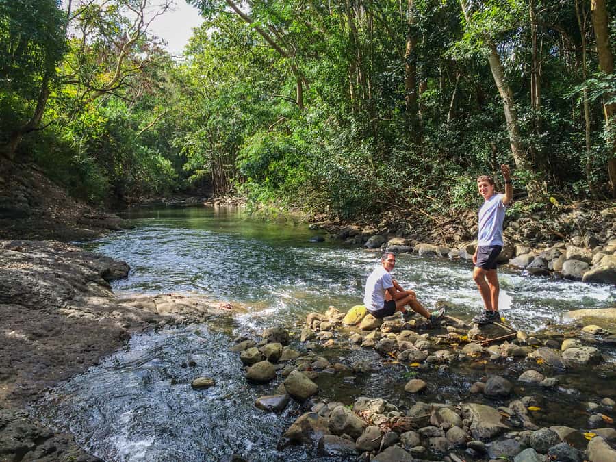 Mauritius: Black River Gorges National Park 3-Hour Hike - Climbing for mountain and sea views