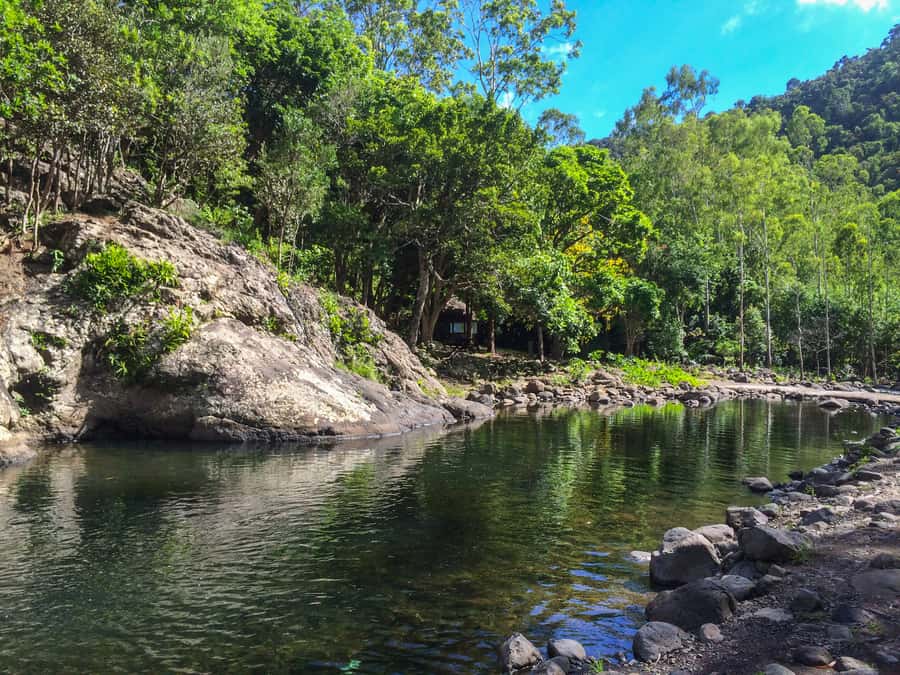 Mauritius: Black River Gorges National Park 3-Hour Hike - What the $64 price really buys you