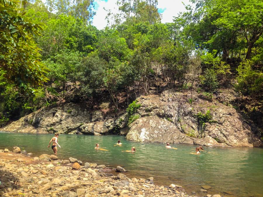 Mauritius: Black River Gorges National Park 3-Hour Hike - How hard is the walk?