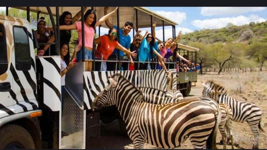 Mauritius: Casela nature parks & flic en flac beach - Casela: Mauritius wildlife with an adventure twist