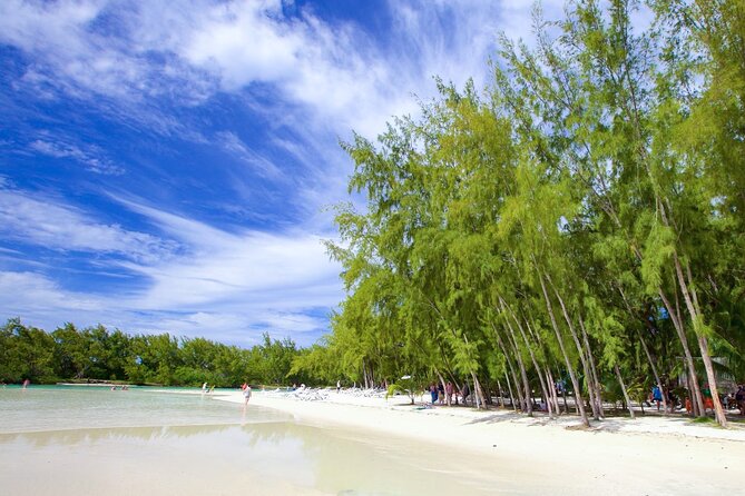 Mauritius: Catamaran Cruise to Ile Aux Cerfs with BBQ Lunch - Ile aux Cerfs: beach time, swimming, and the craft market