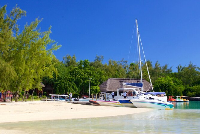Mauritius: Catamaran Cruise to Ile Aux Cerfs with BBQ Lunch - Who should book this cruise?