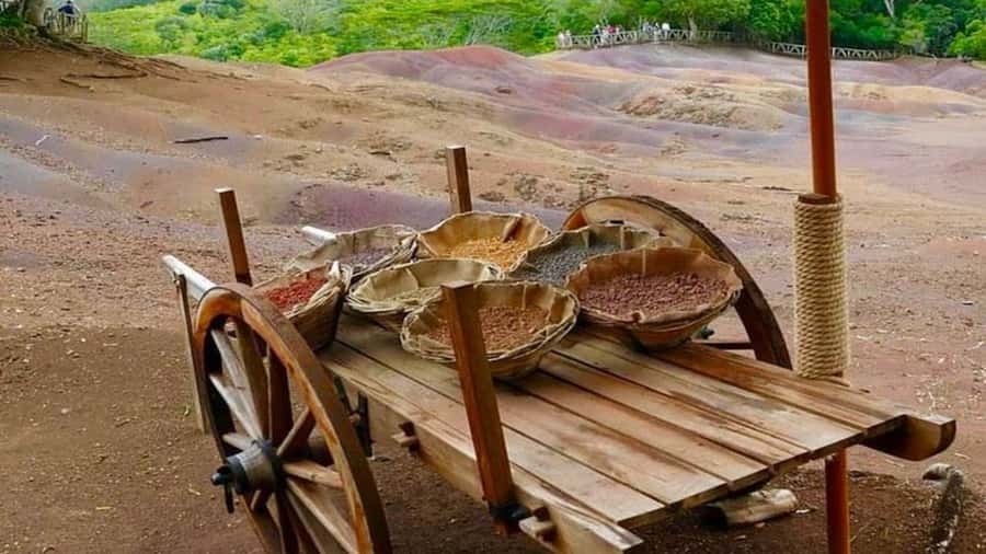 Mauritius: Chamarel 7 Colours & Waterfalls, South-West Tour - Monkeys and waterfalls in the Black River area