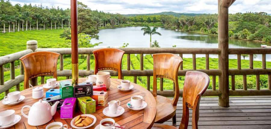 Mauritius: Crocodile Park and Tea Factory Tour with Tasting - The tea museum adds the story behind the cup