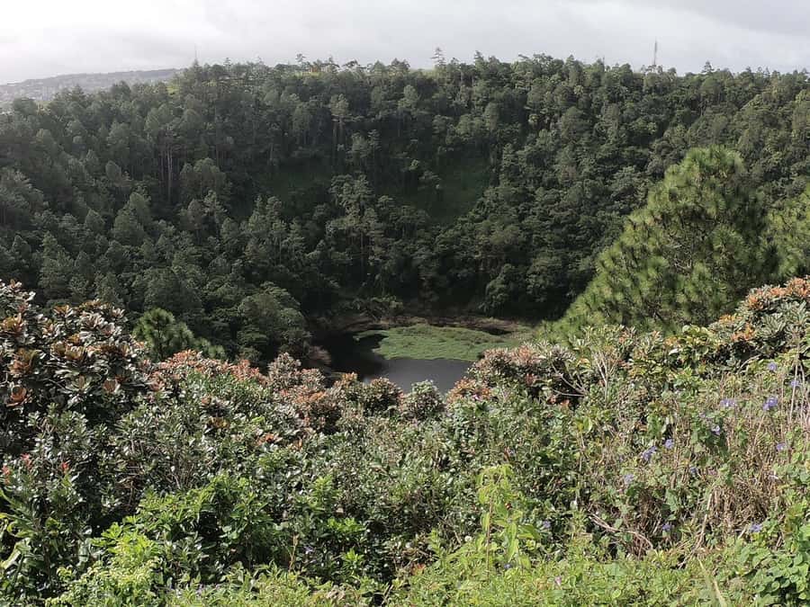 Mauritius: Dolphin Encounter, Trou aux Cerf and Grand Bassin - Grand Bassin is more than a photo stop