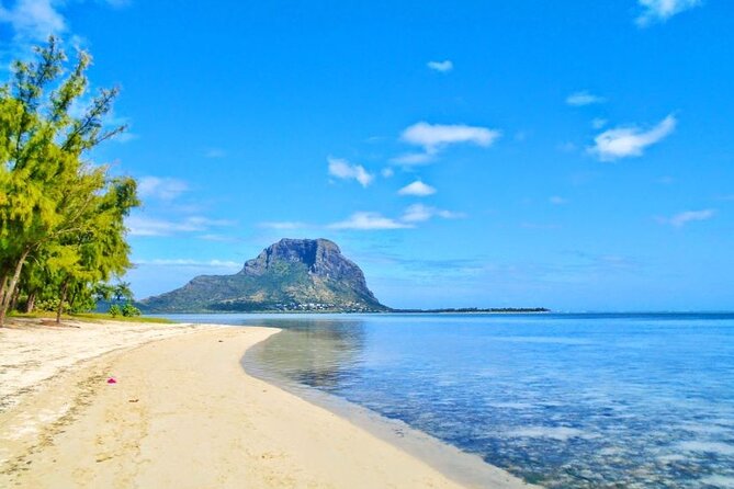Mauritius : Dolphins Swim and Ile Aux Bénitiers with BBQ - The good and the less comfortable parts
