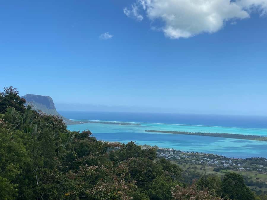 Mauritius: Dolphins watch half-day - Why the 6am to 7am Pickup Matters