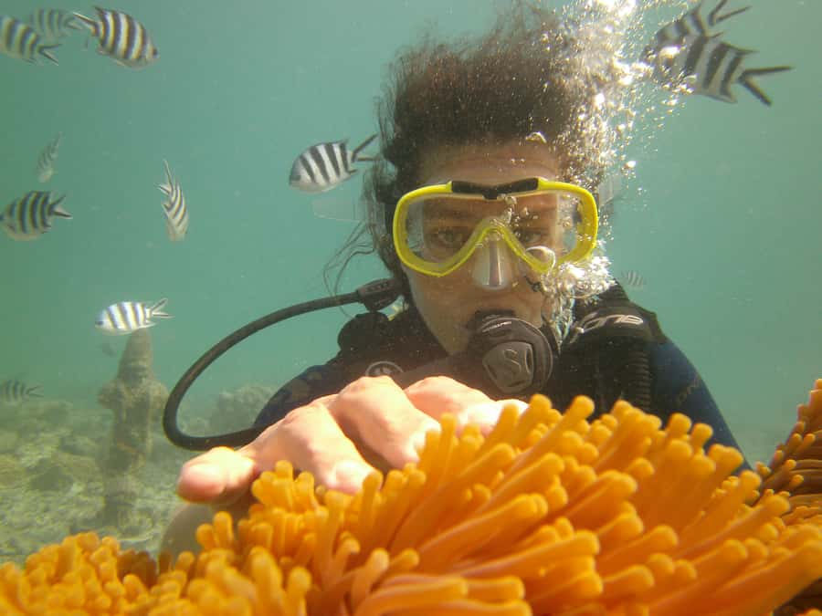 Mauritius: East Belle Mare Scuba Diving Tour - The instructors are a major part of the value