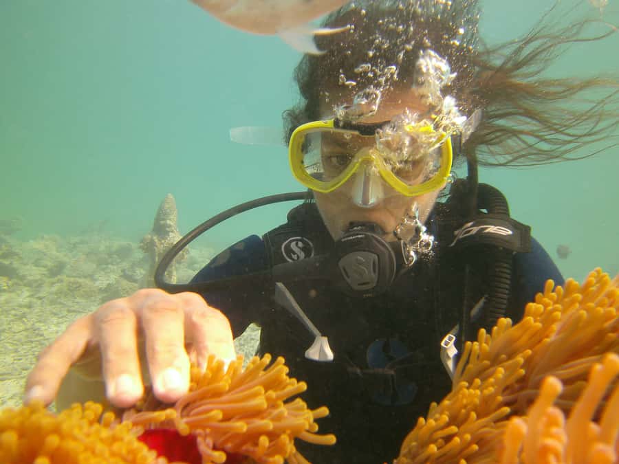 Mauritius: East Belle Mare Scuba Diving Tour - Who should book this experience