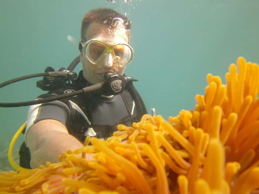 Mauritius: East Belle Mare Scuba Diving Tour - Small details that can shape your day