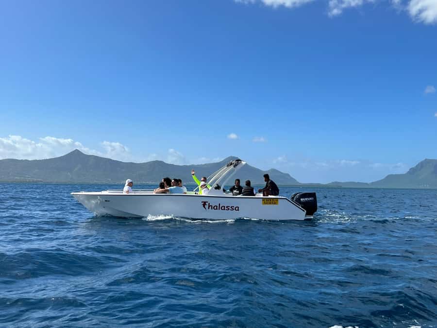Mauritius Eco Whales Quest, 3-4 hours Expedition - What the Small-Group Format Really Gives You