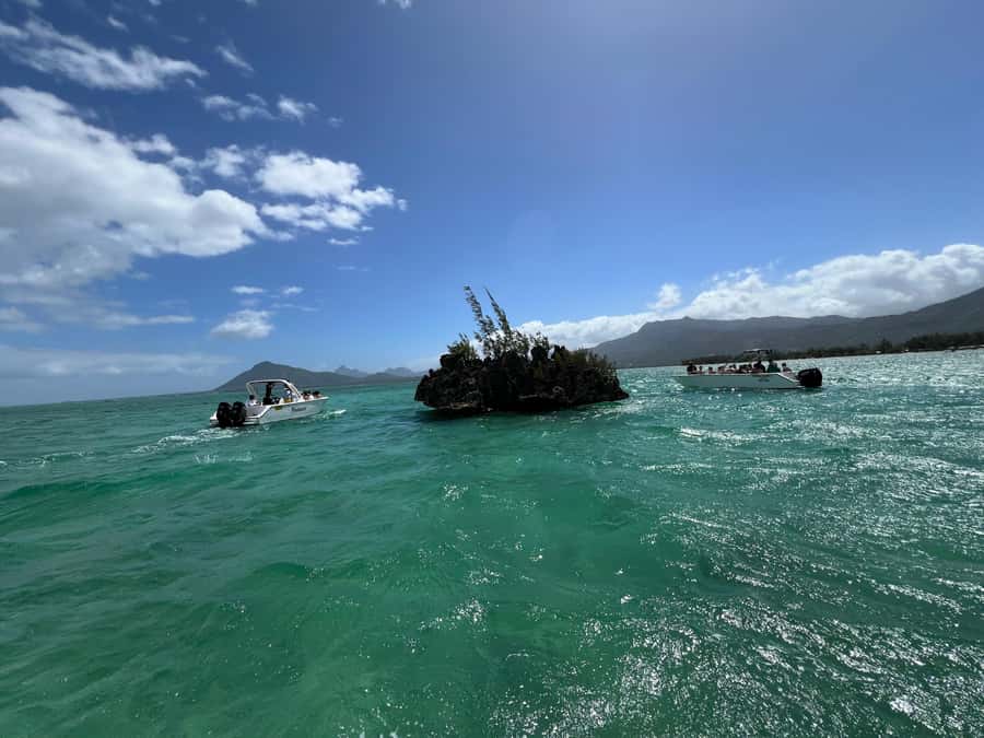 Mauritius Eco Whales Quest, 3-4 hours Expedition - Food, Drinks, and What to Pack