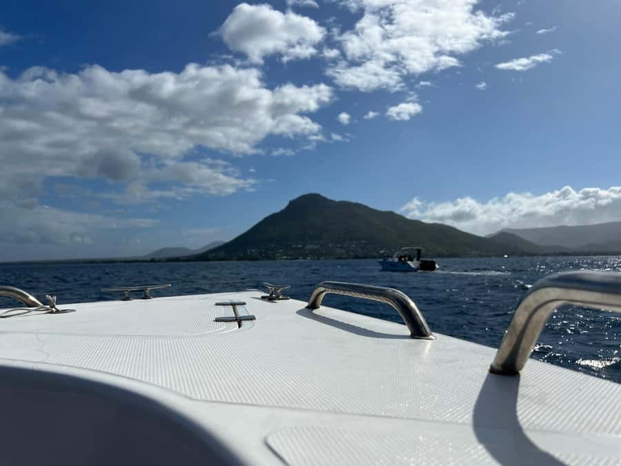 Mauritius Eco Whales Quest, 3-4 hours Expedition - Is $223 a Fair Price?