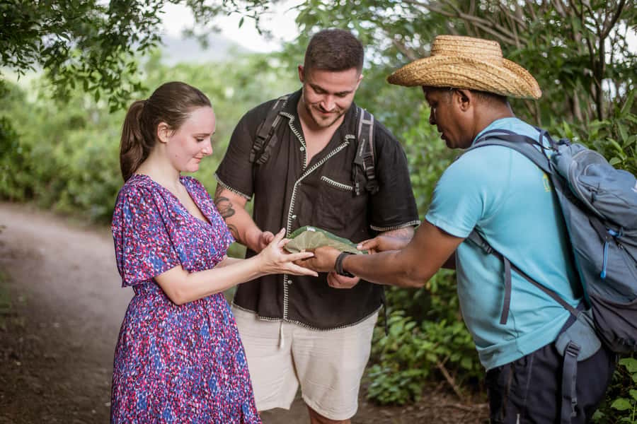 Mauritius: Exclusive Le Morne Sunset Hike & Aperitivo - Sunset over the lagoon