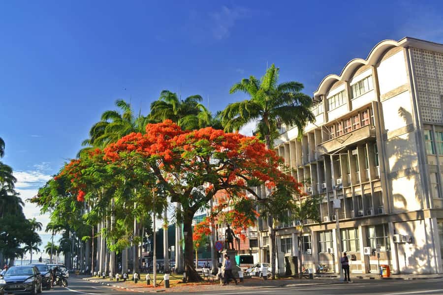 Mauritius: Exclusive North Tour with Pickup - Port Louis markets and Caudan Waterfront
