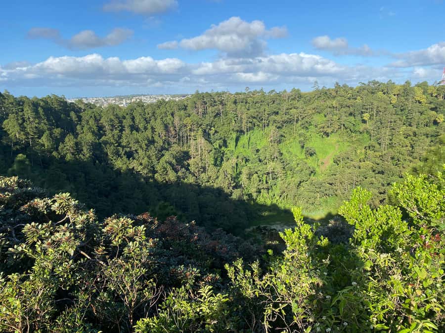 Mauritius: Exclusive South West Tour - Alexandra Falls brings the first waterfall stop