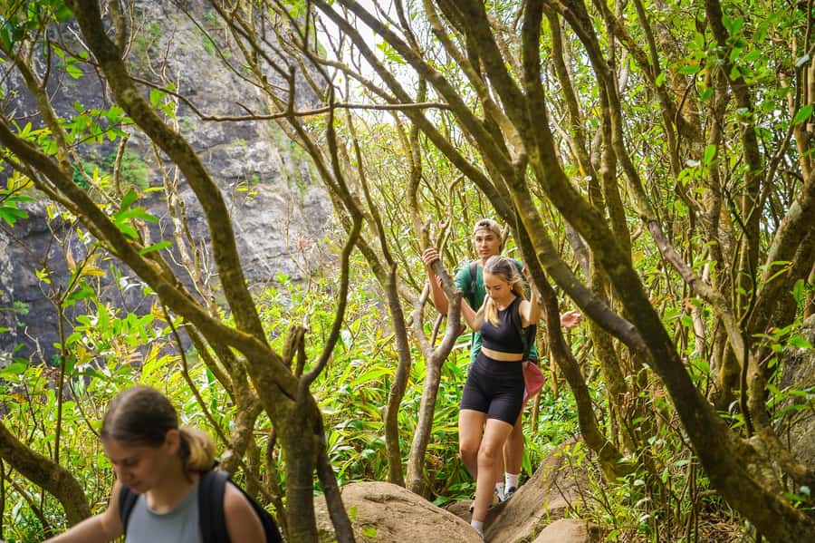 Mauritius: Exploring the Tamarind Falls with a Guide - The guide is the main value at $55