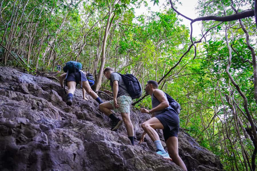 Mauritius: Exploring the Tamarind Falls with a Guide - Practical preparation for Tamarind Falls