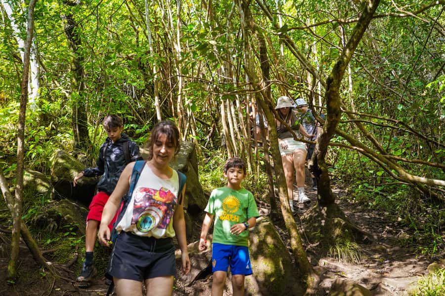 Mauritius: Exploring the Tamarind Falls with a Guide - Should you book Tamarind Falls with Horazis?