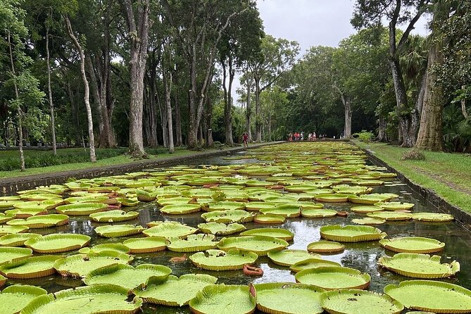 Mauritius full day : Private north tour - Key things to know before booking