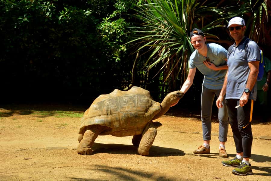 Mauritius: Full-Day Quad Bike Tour with Lunch - What the southern route feels like on an ATV