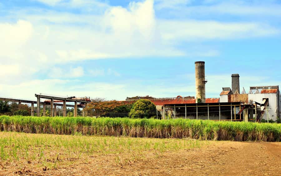 Mauritius: Full-Day Quad Bike Tour with Lunch - Should you book the Big Foot Adventure outing?