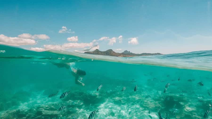 Mauritius: Full-Day Speedboat Tour to Ile aux Cerfs & BBQ - Grand River South East and its waterfall