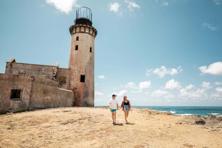 Mauritius: Full-Day Speedboat Tour to Ile aux Cerfs & BBQ - Who should book this tour?
