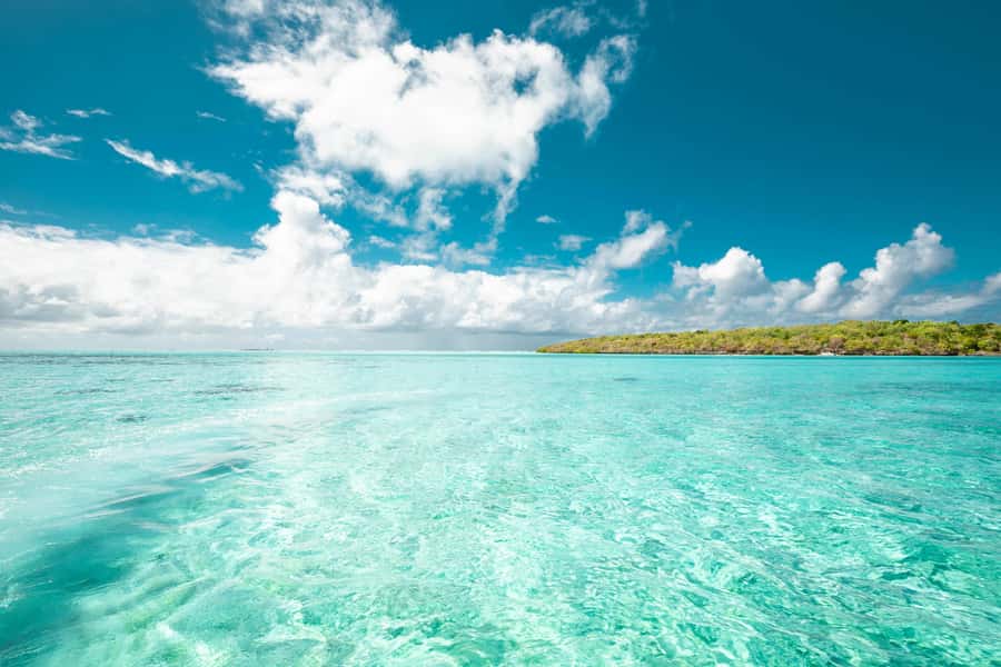 Mauritius: Full-Day Speedboat Tour to Ile aux Cerfs & BBQ - Snorkeling in the southeast lagoon