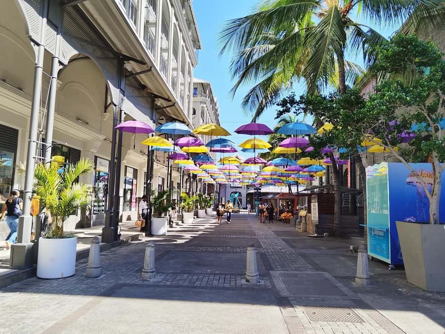 Mauritius: Full Day Tour of the North with Hotel Transfer - Why this private north tour works well
