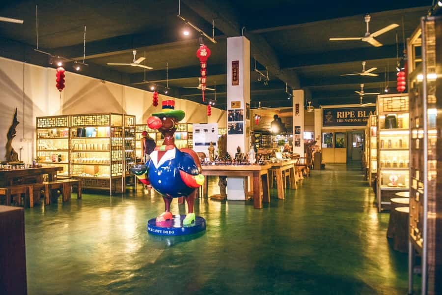Mauritius: Full Day Tour of the North with Hotel Transfer - Port Louis, from Caudan to the central market