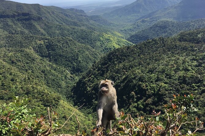 Mauritius full day tour : Private south west with lunch - Cultural stops, temples, and giant tortoises