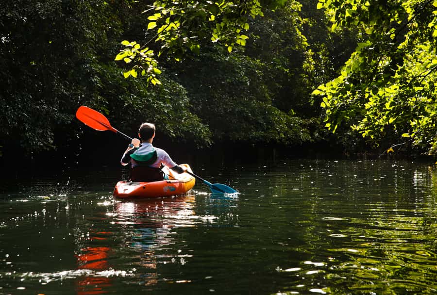 Mauritius: Guided Kayak Tour on Tamarin River - Starting at Tamarin Bay beside the Veranda hotel