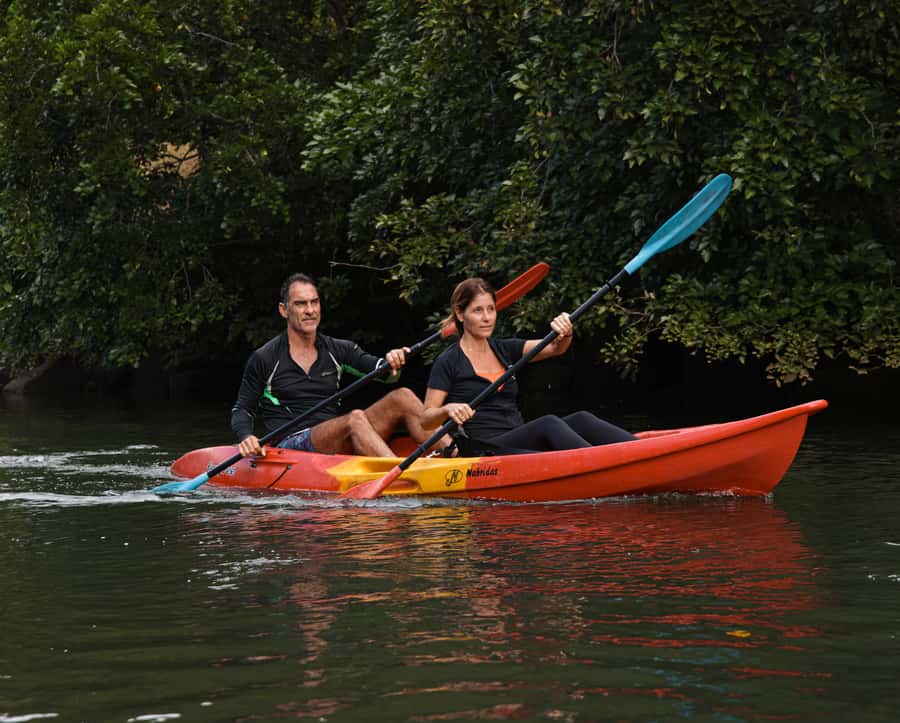 Mauritius: Guided Kayak Tour on Tamarin River - Following the two arms of the Tamarin River