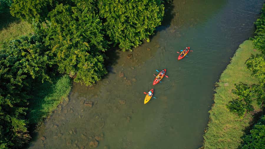 Mauritius: Guided Kayak Tour on Tamarin River - Who should book the Tamarin River kayak tour?