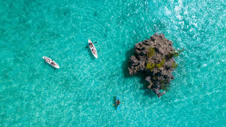 Mauritius: Guided Kayak tour to Benitiers Island - Two hours along the Benitiers coast