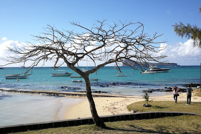 Mauritius Guided North Tour (Private) - What the private car and guide add