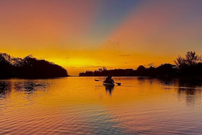 Mauritius Guided Sunrise Kayak Tour on the Tamarin River - Who will enjoy this kayak tour most