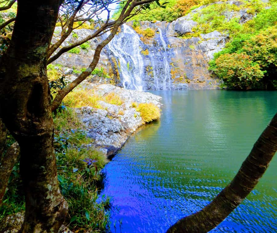 Mauritius: Guided Tamarind Falls Hike with Hotel Transfers - Why Tamarind Falls is worth leaving the coast for
