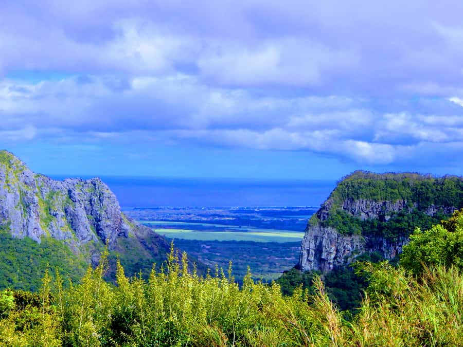 Mauritius: Guided Tamarind Falls Hike with Hotel Transfers - Forest paths, tamarind trees, and river crossings