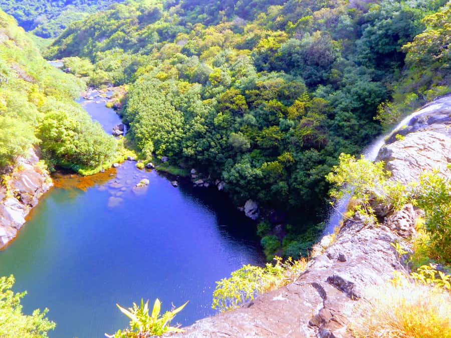 Mauritius: Guided Tamarind Falls Hike with Hotel Transfers - The early morning hotel pickup