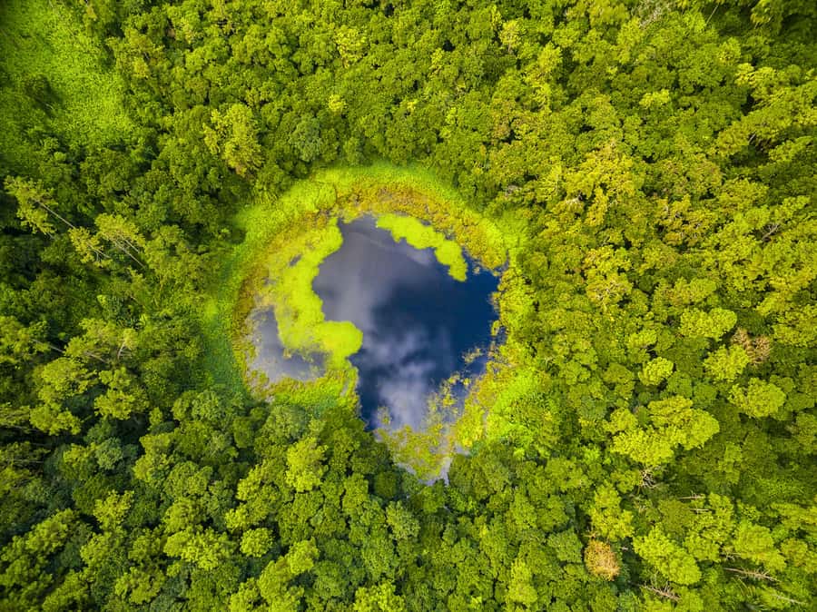 Mauritius: Guided Trip to the Southwest with Safari Tour - Key points to know before booking