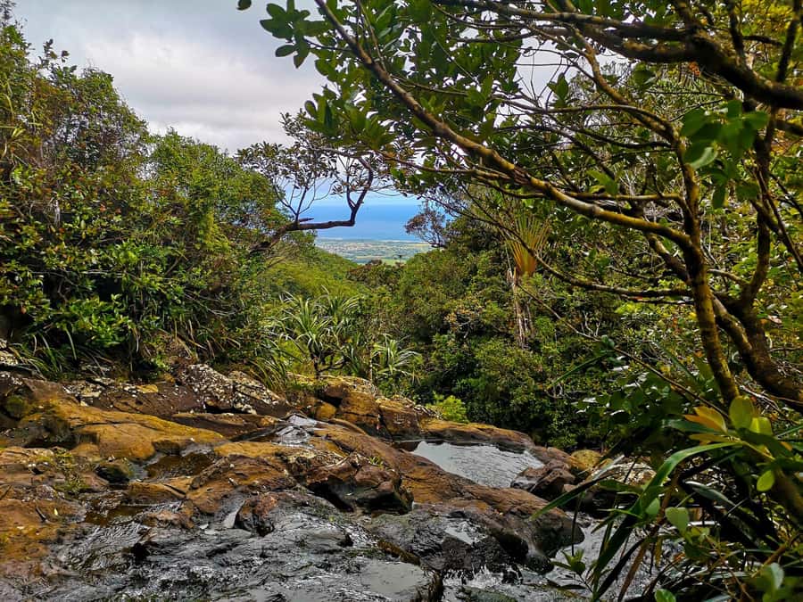 Mauritius: Guided Trip to the Southwest with Safari Tour - Maconde and the feeling of being offshore