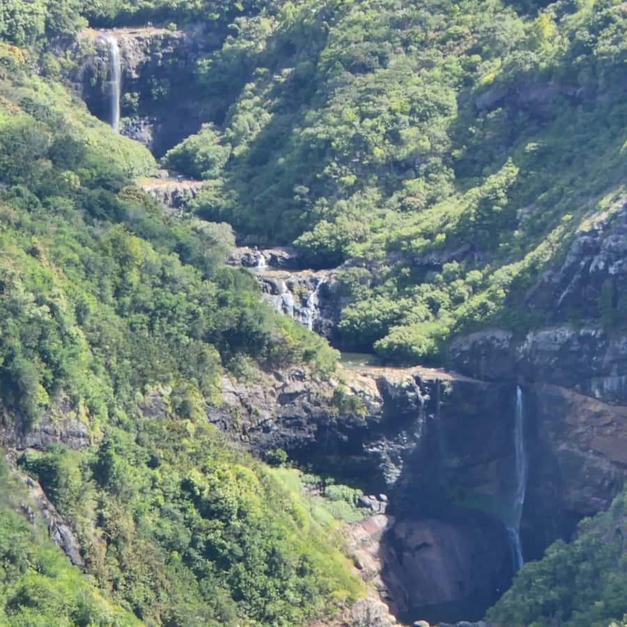 Mauritius Hiking 7 waterfalls Trip with Ganga Talao & Lunch - A private car makes the long day easier