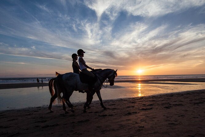 Mauritius Horse Riding at Riambel - What the private format changes