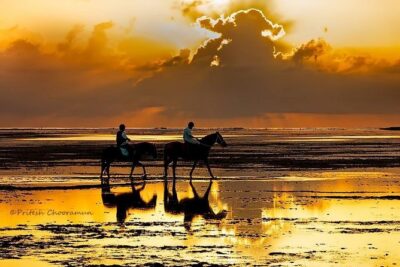 Mauritius Horse Riding at Riambel