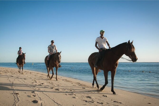 Mauritius Horse Riding at Riambel - Daytime rides and the sunset option