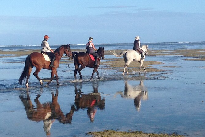 Mauritius Horse Riding at Riambel - Who will enjoy this Riambel outing?