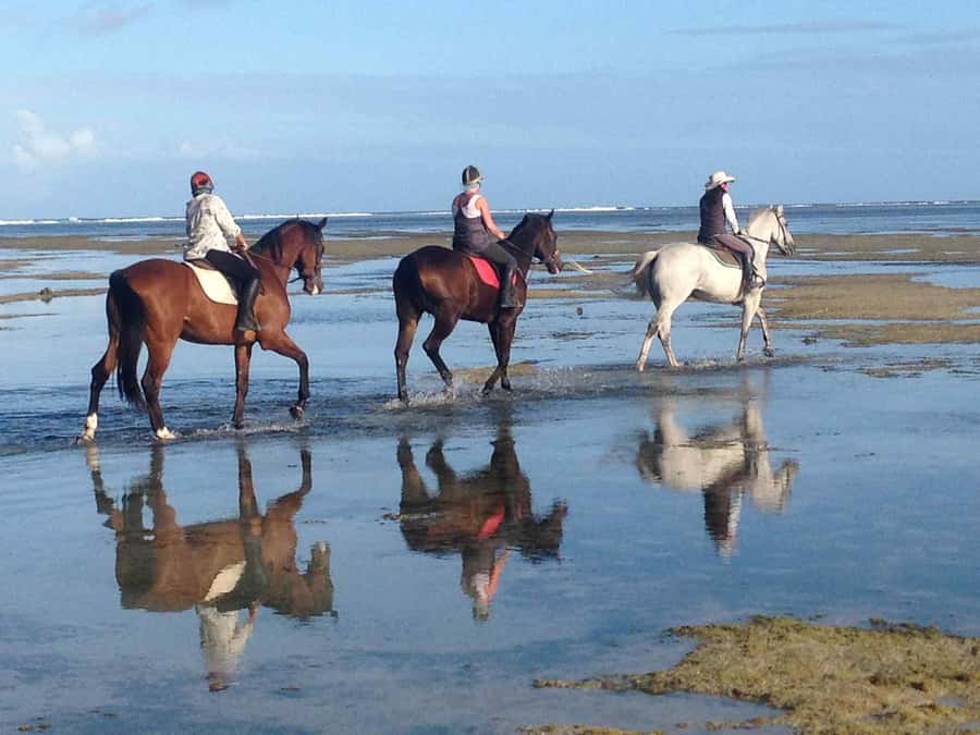 Mauritius: Horse riding on the deserted beach of Riambel - Key points at a glance